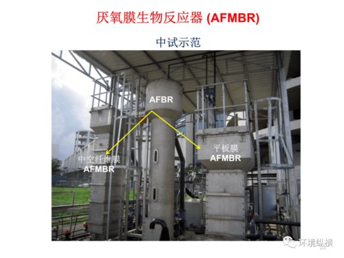 闭环共生的未来 市政污水处理与餐厨垃圾协同处理的新模式、机遇与挑战